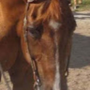 Meet your Posher, Deb